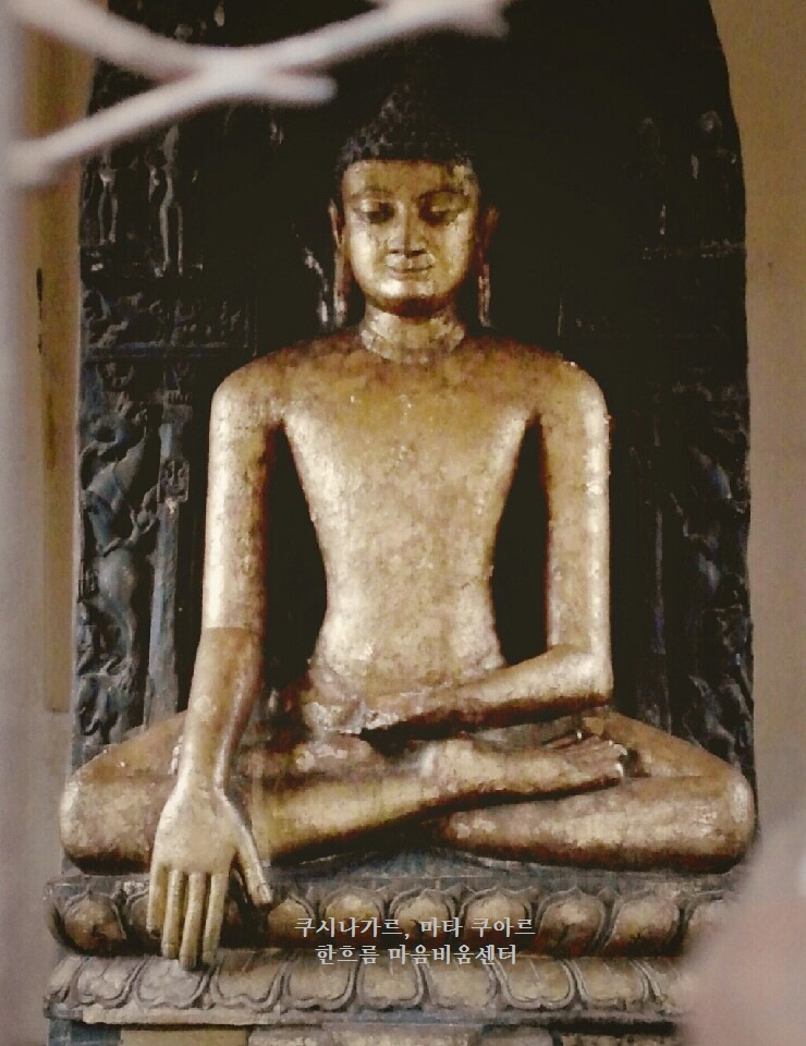 쿠시나가르 마타쿠아르.jpg