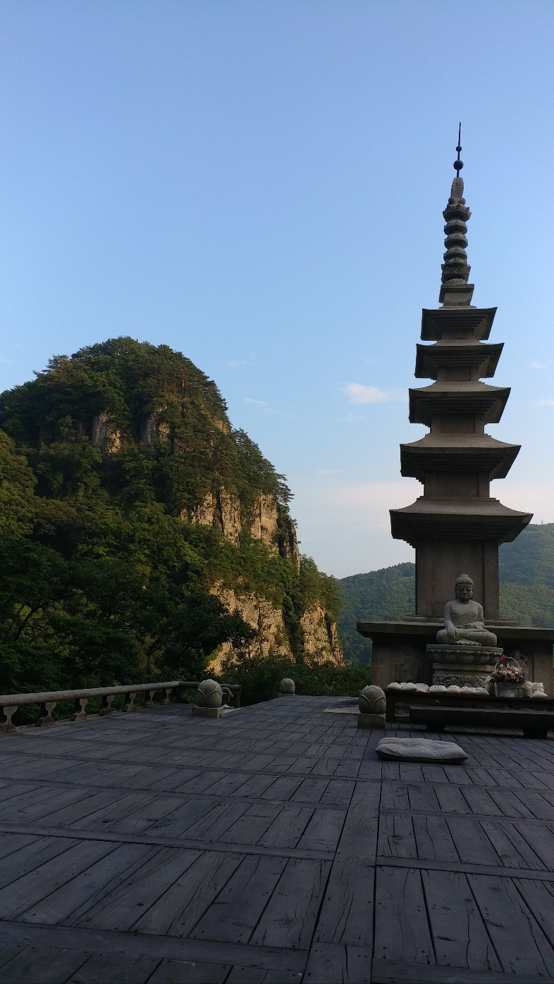 카지노 게임 사이트