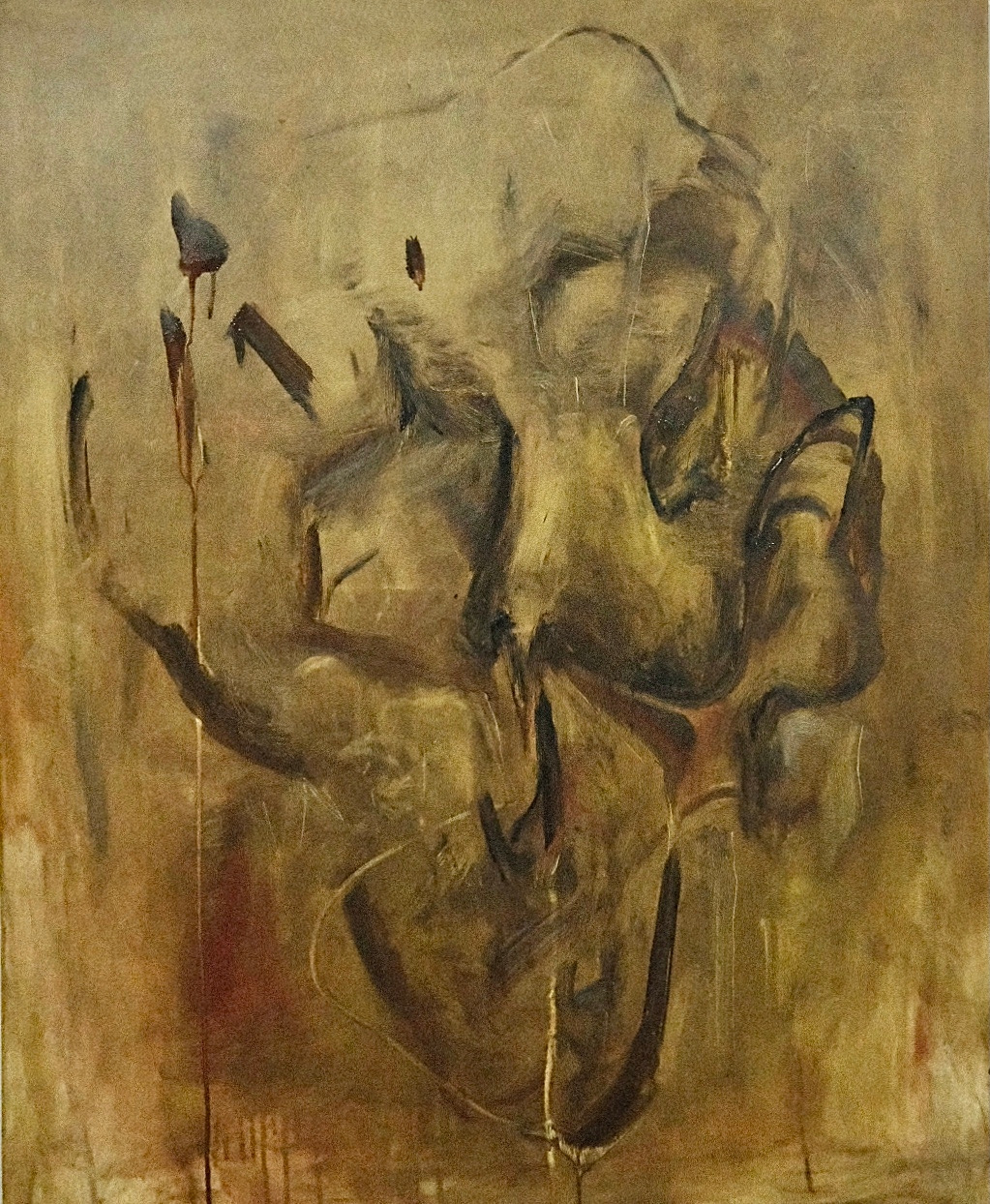 E4341F35-3B13-45ED-8C16-F2B858778AEE-15979-000001BCE2A854AE 2.jpg