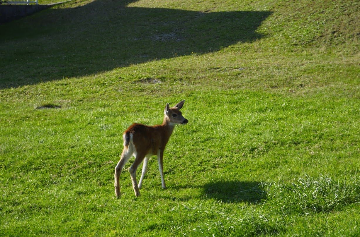 Annotation 2019-09-24 155416.jpg