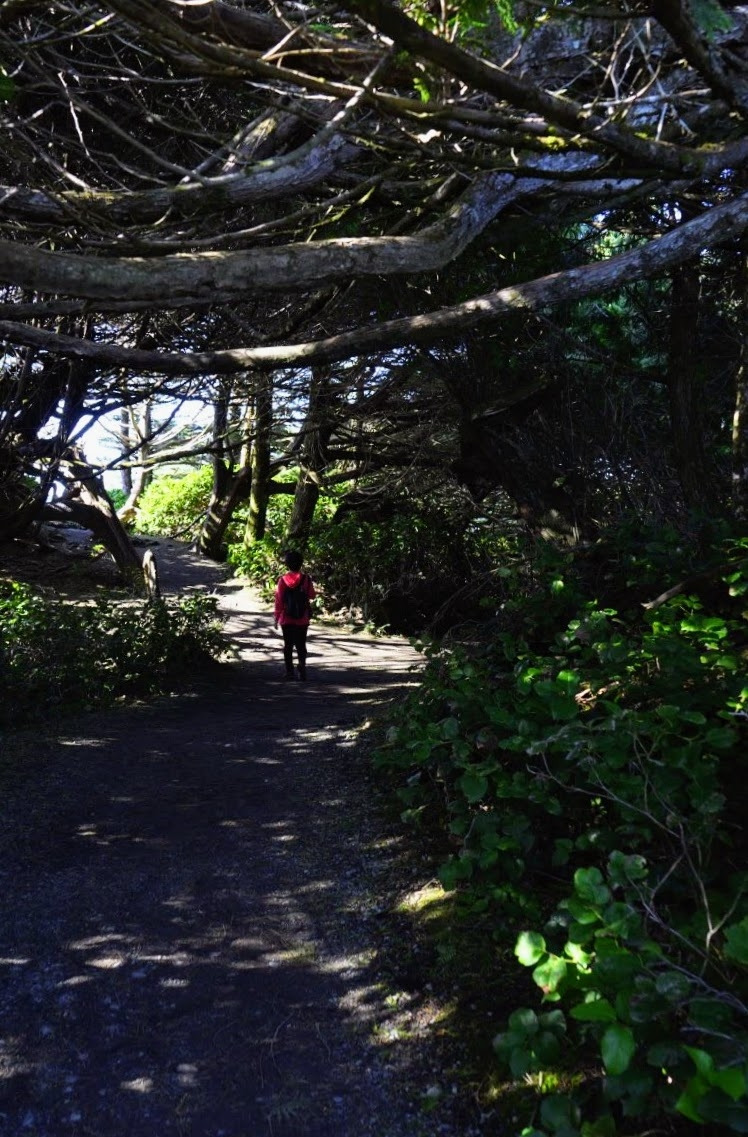 Annotation 2019-09-24 154918.jpg