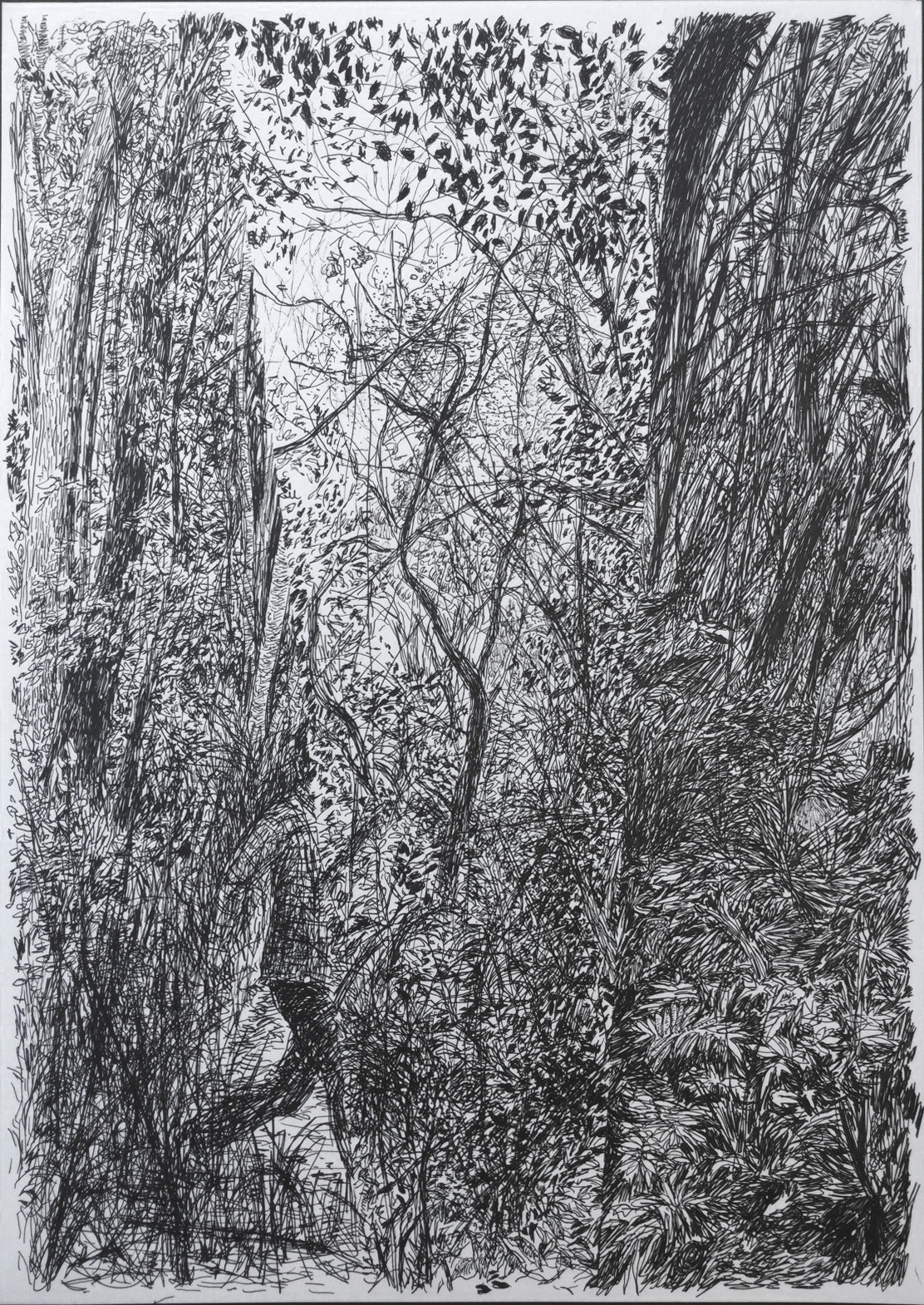 박광수, 숲에서 사라진 남자, 2015 (4).jpg