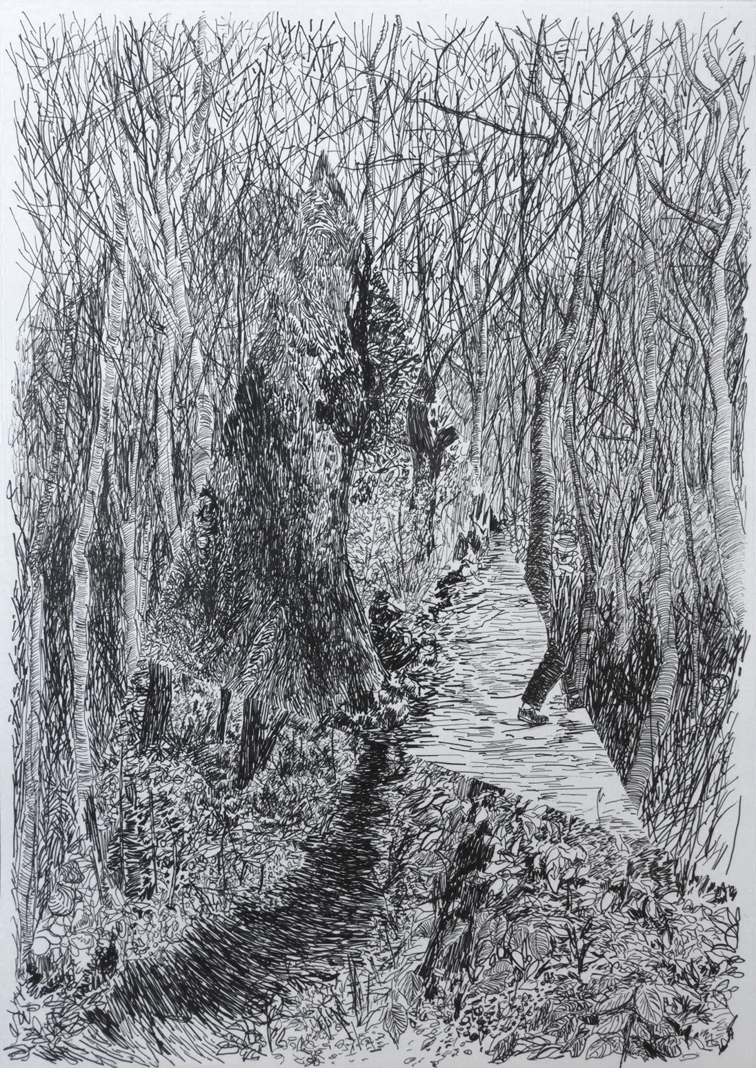 박광수, 숲에서 사라진 남자, 2015 (3).jpg