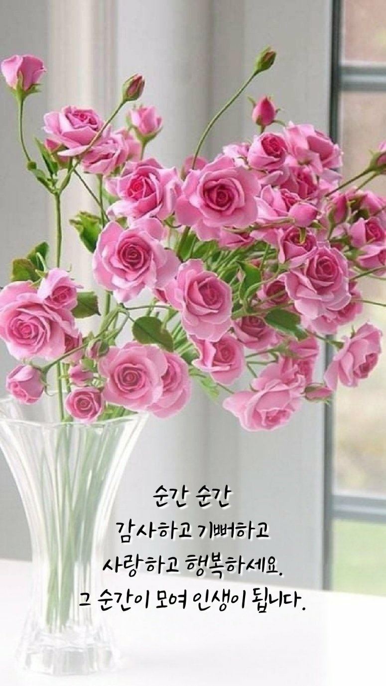 사위 생일 축하하네~