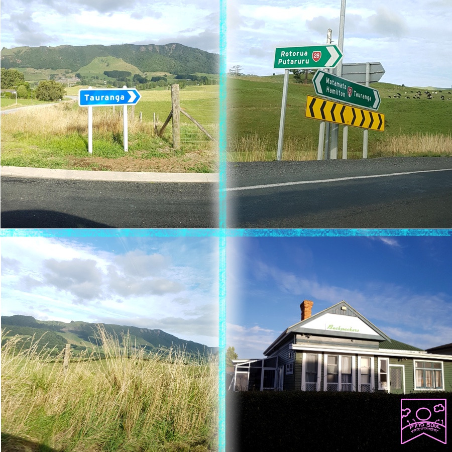 제목_없는_아트워크 2.jpg