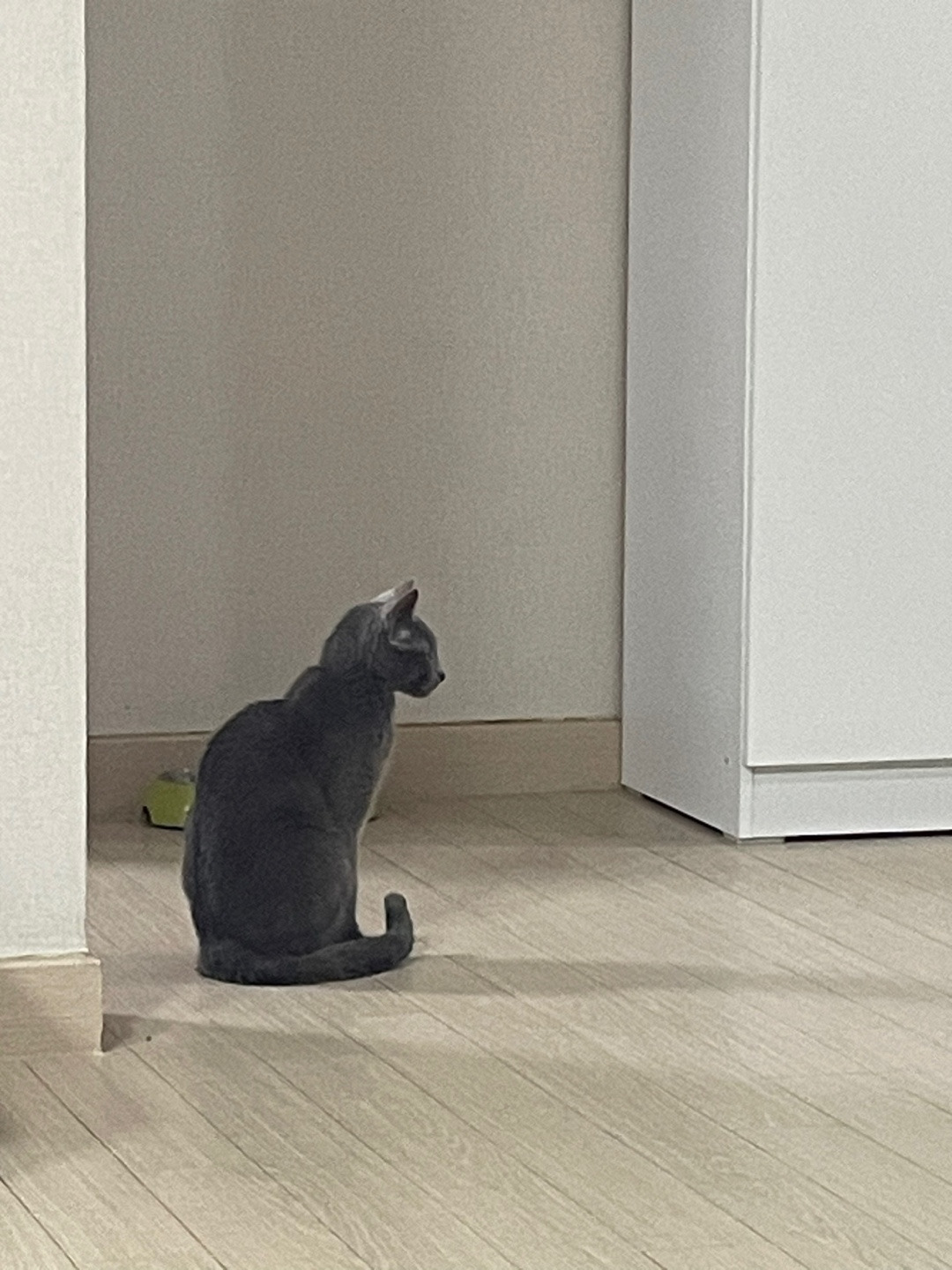 카지노 쿠폰