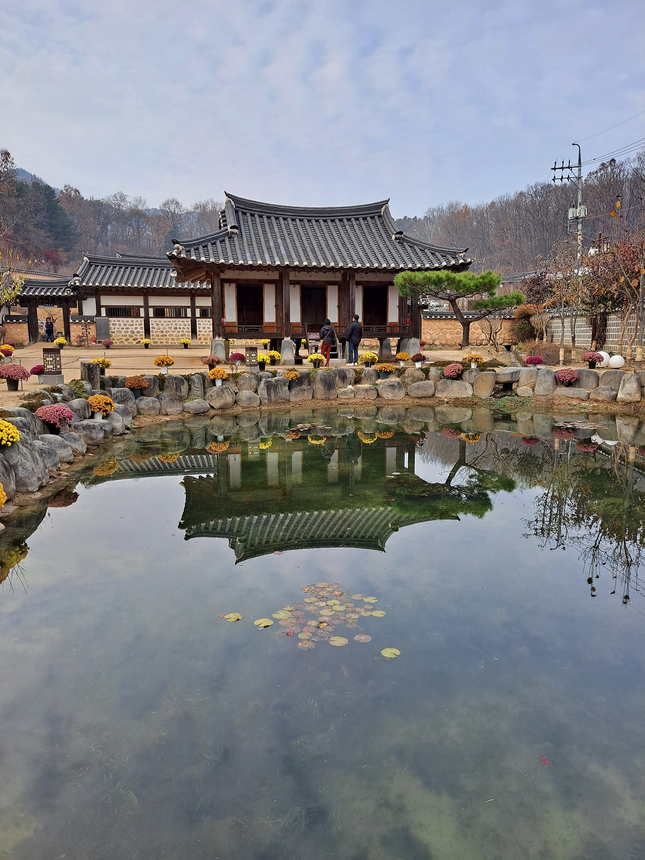 육영수 생가.jpg