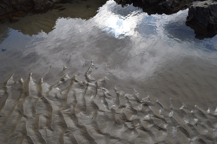 겨울서해바다 삼.jpg