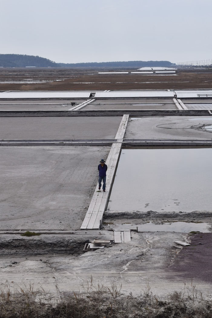 증도 염전.jpg