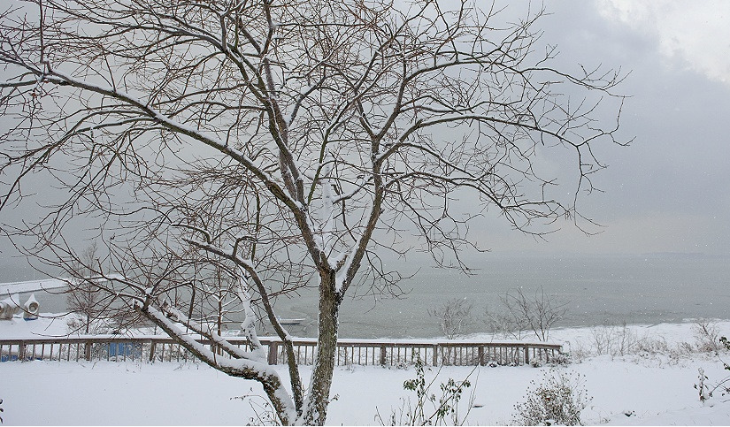 작당마을 이.jpg