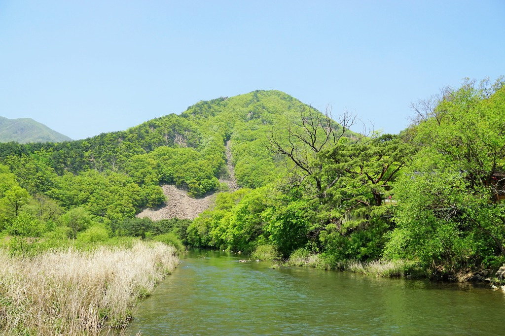 구수천 호랑이.jpg