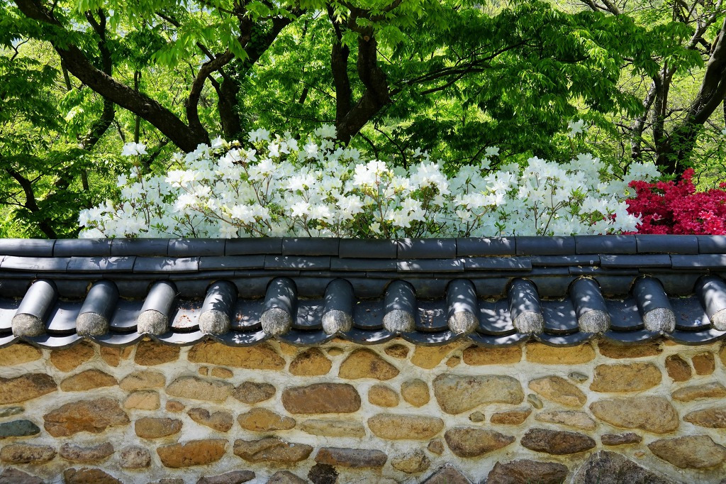 구수천 반야사.jpg