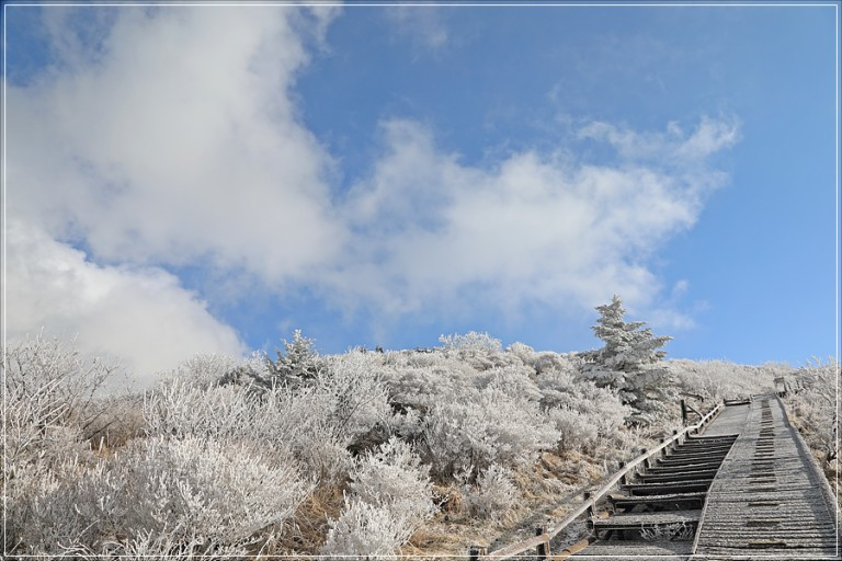 노고단 설경.jpg