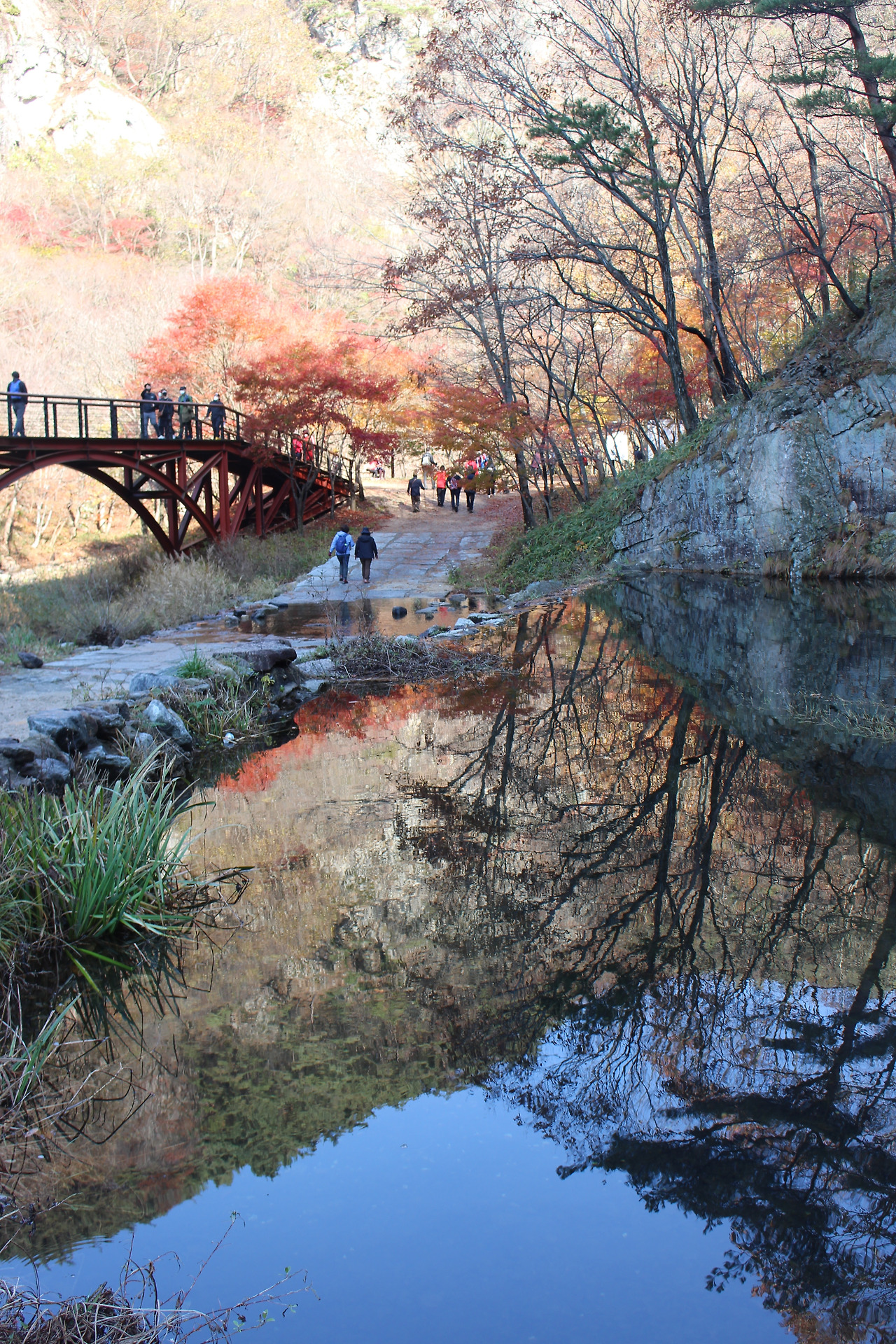 강천산 새삼.jpg