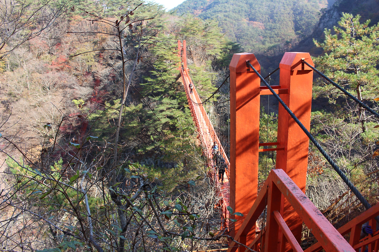 강천산 새이.jpg