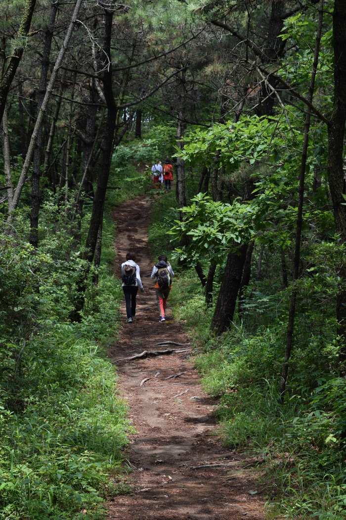 창원 비치로드 팔.jpg