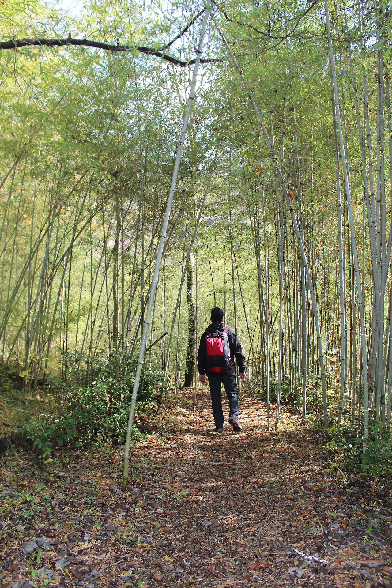 강천산 새팔.jpg