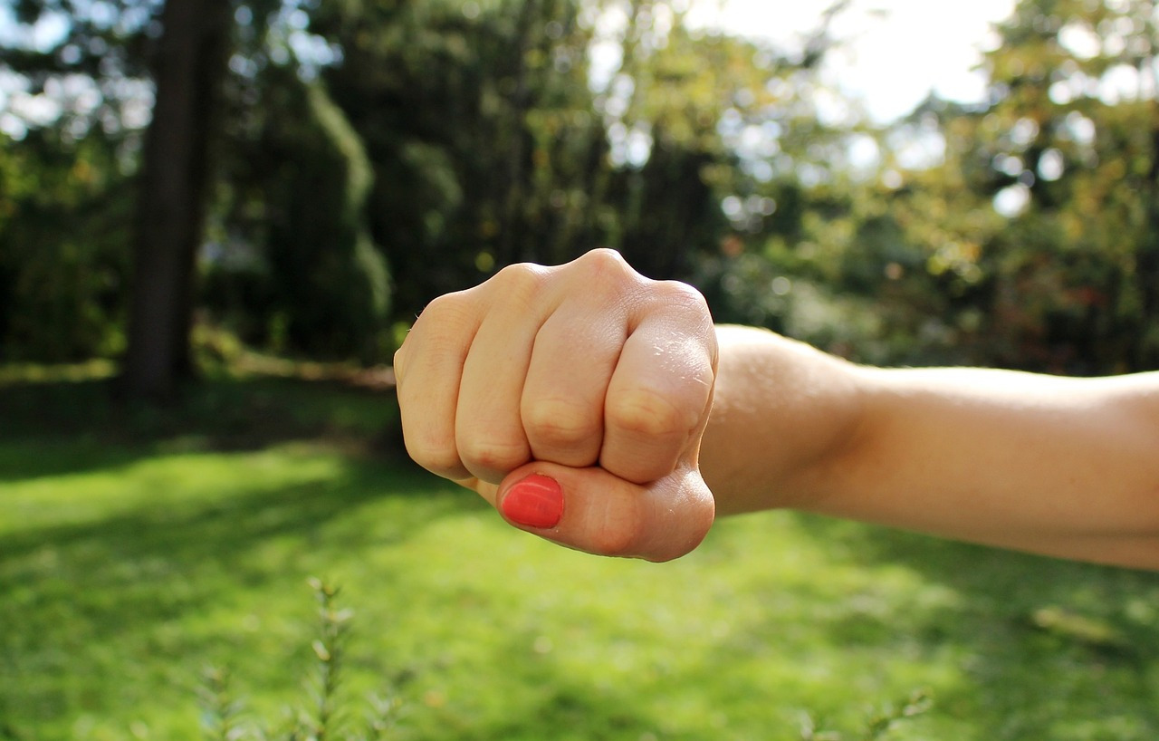 fist-bump-1195446_1280.jpg