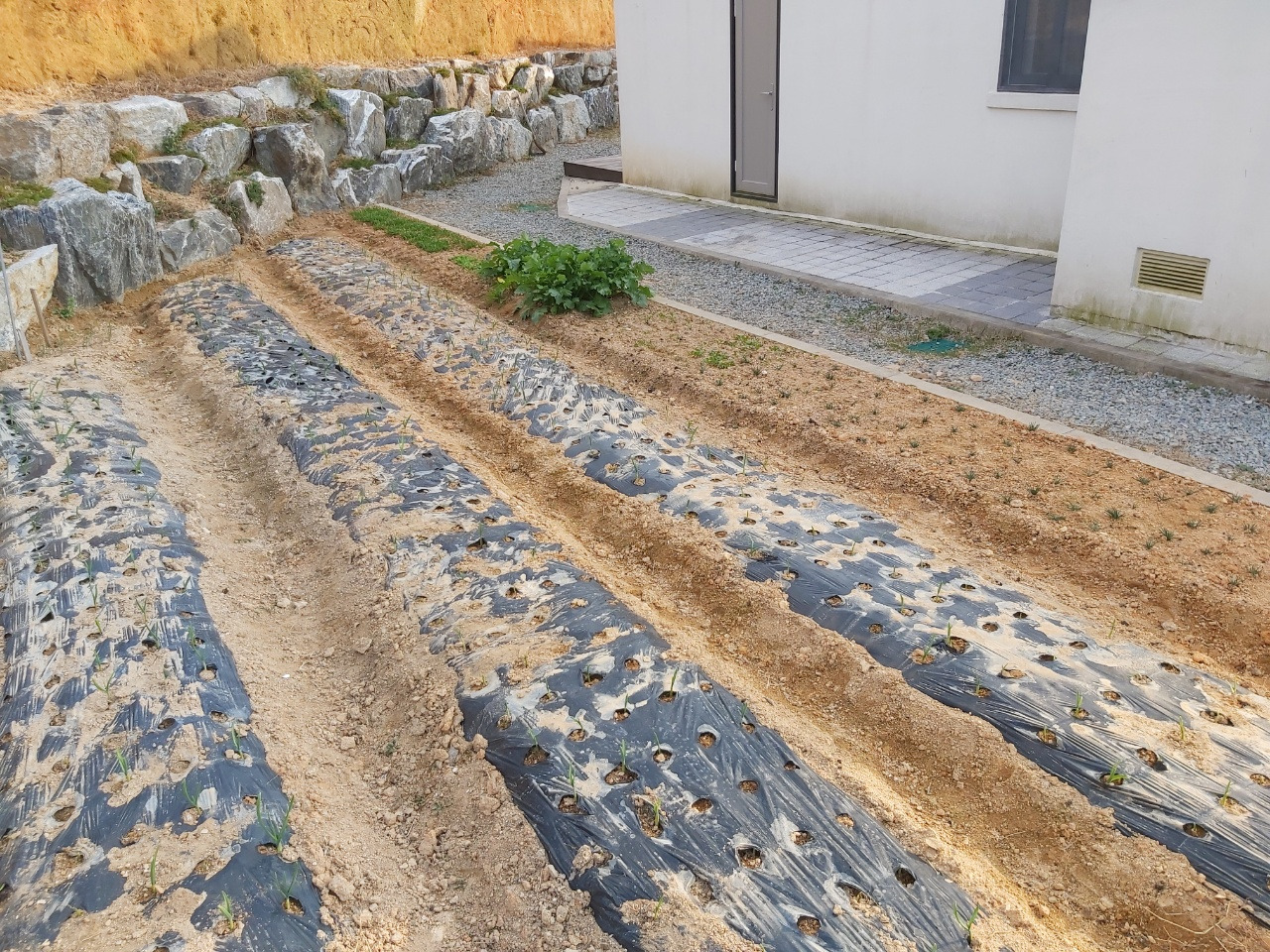 2022. 4. 4.(월).jpg