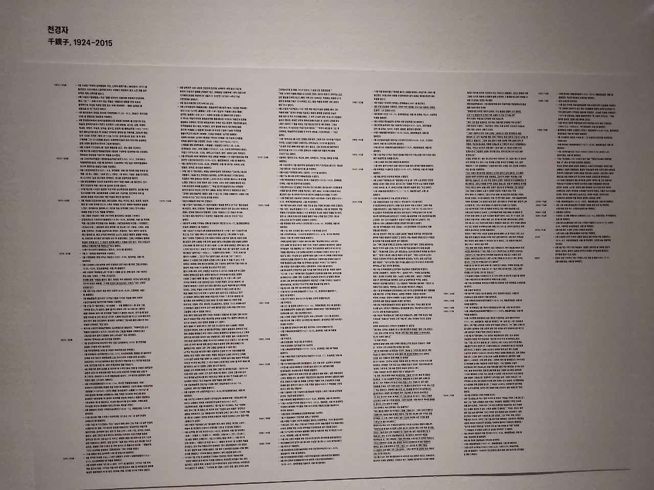 천경자 설명.jpg