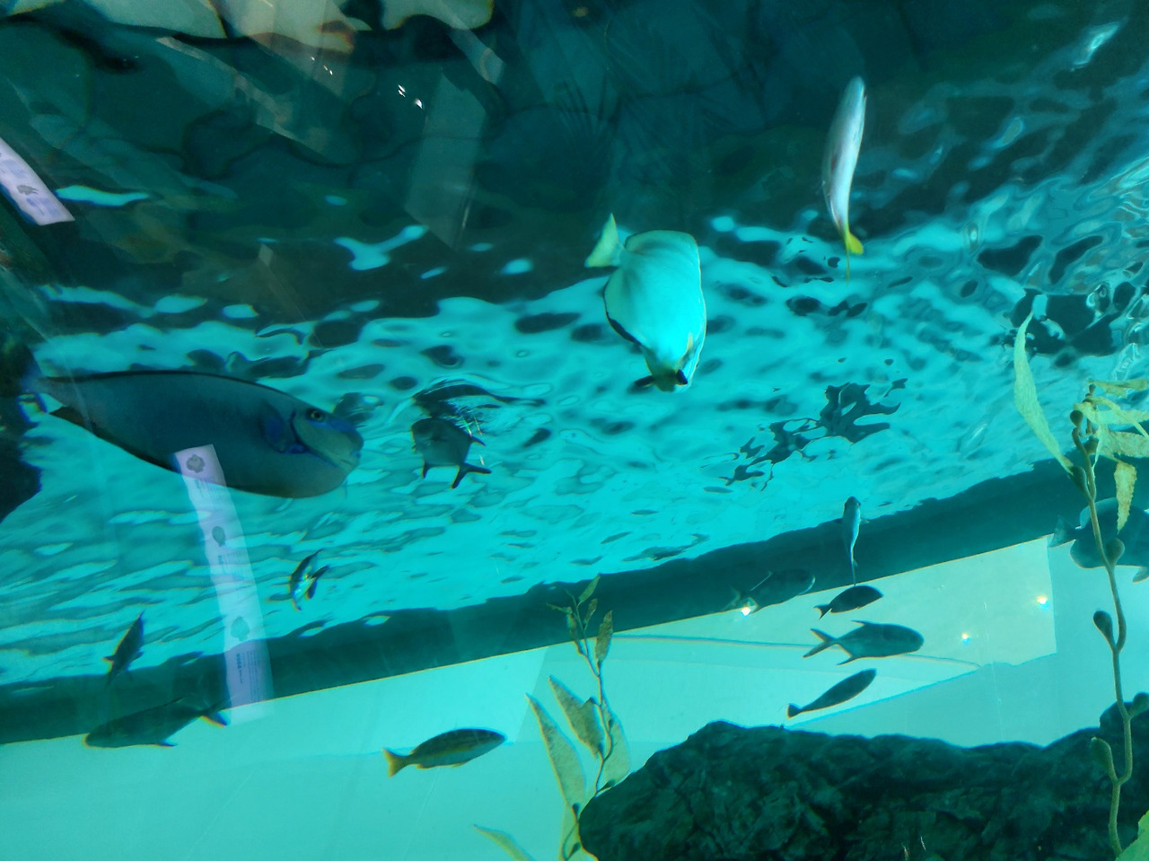 수족관-3.jpg