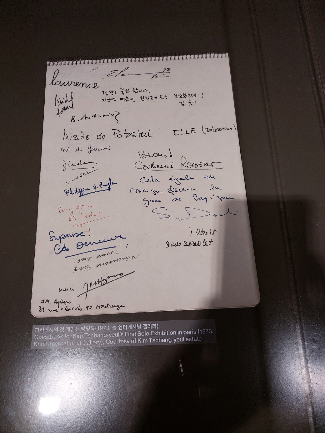 달리의 방명록.jpg