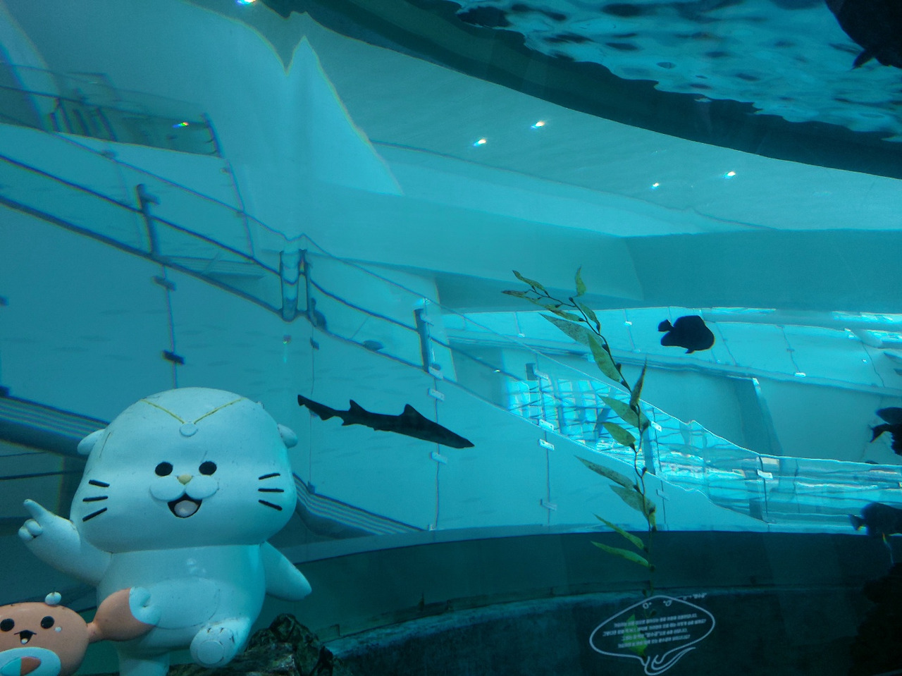 수족관-1.jpg
