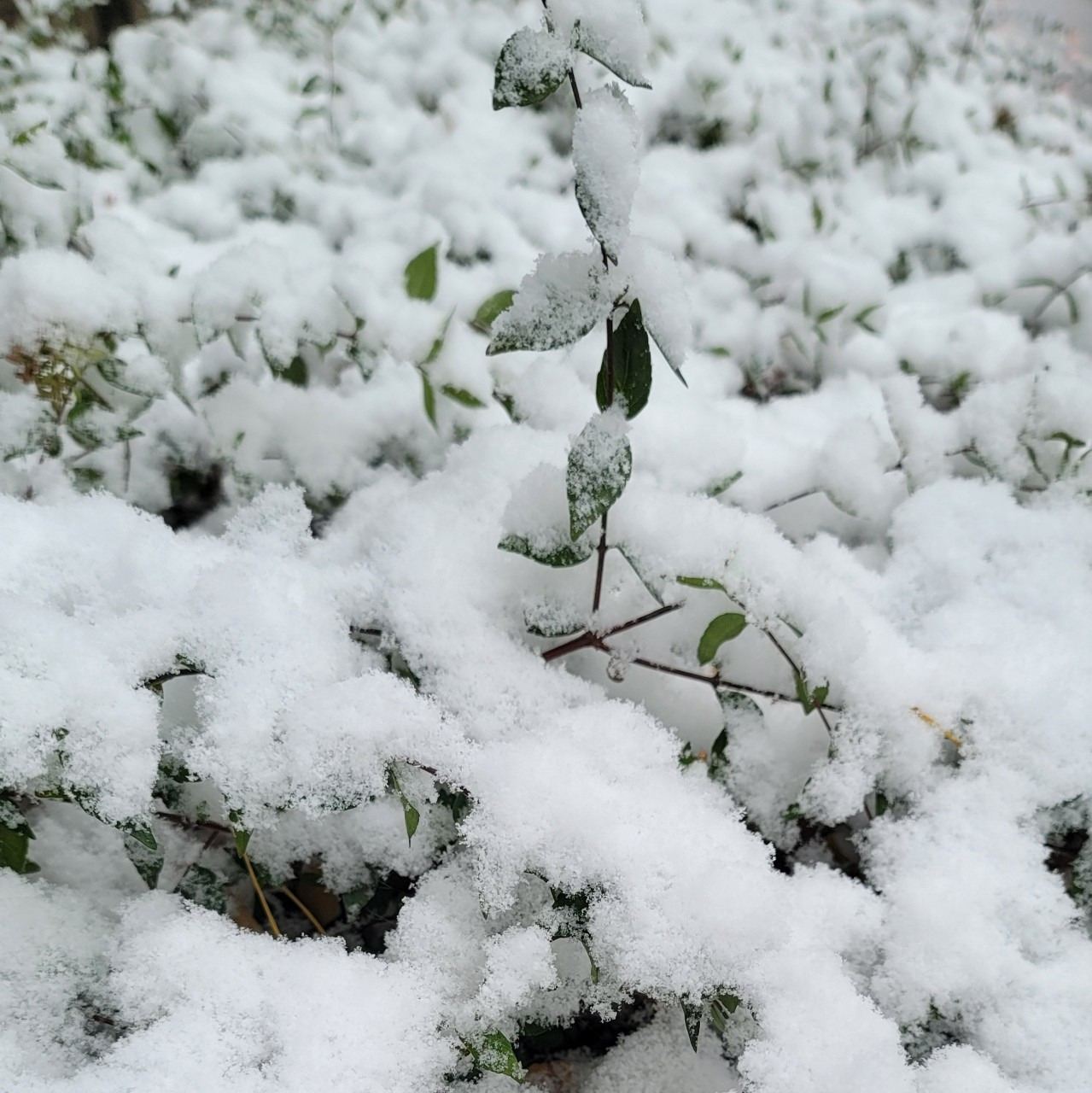 38 빼앗긴 시선.jpg