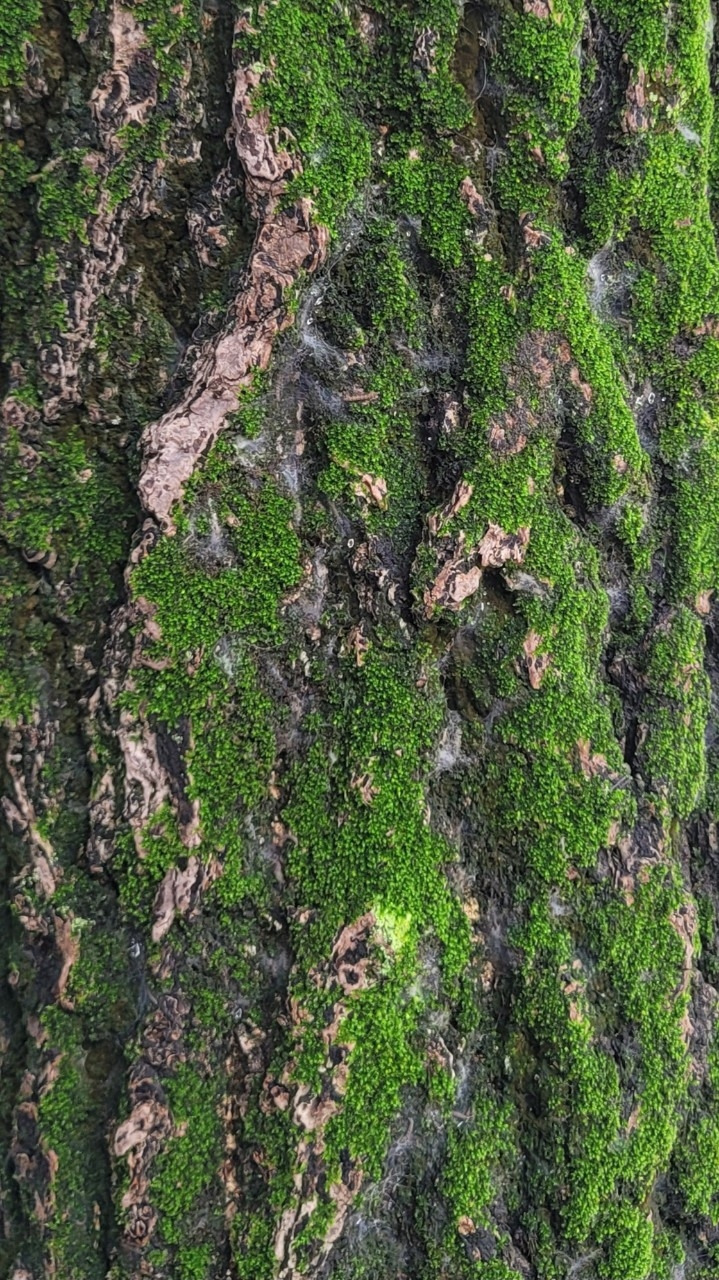 50. 공공의 적.jpg