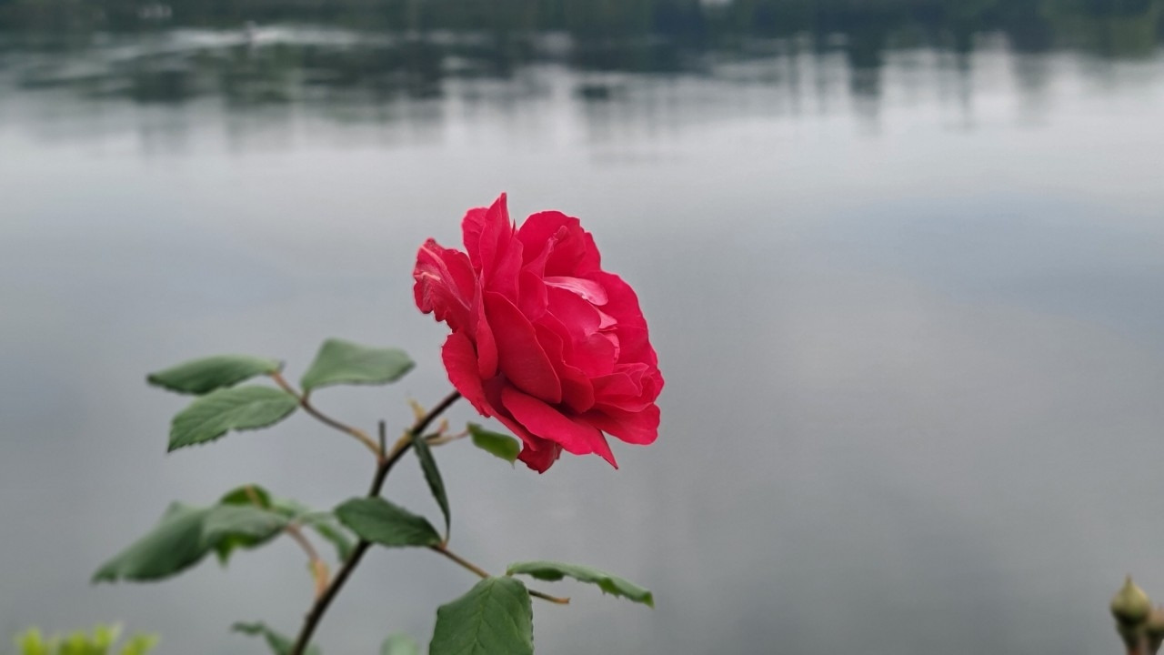 28. 그날 이후.jpg