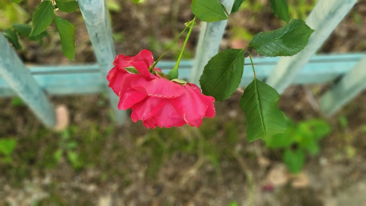 30. 사이를 보다.jpg