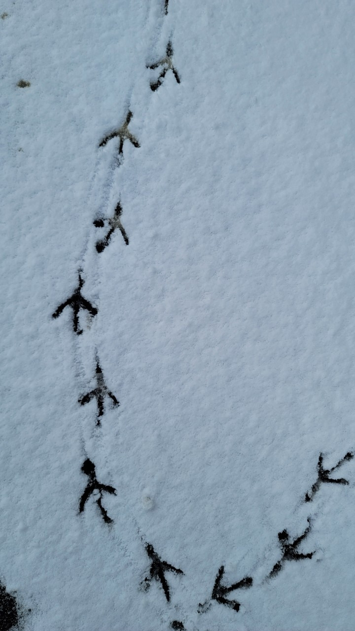 3. 터닝포인트.jpg