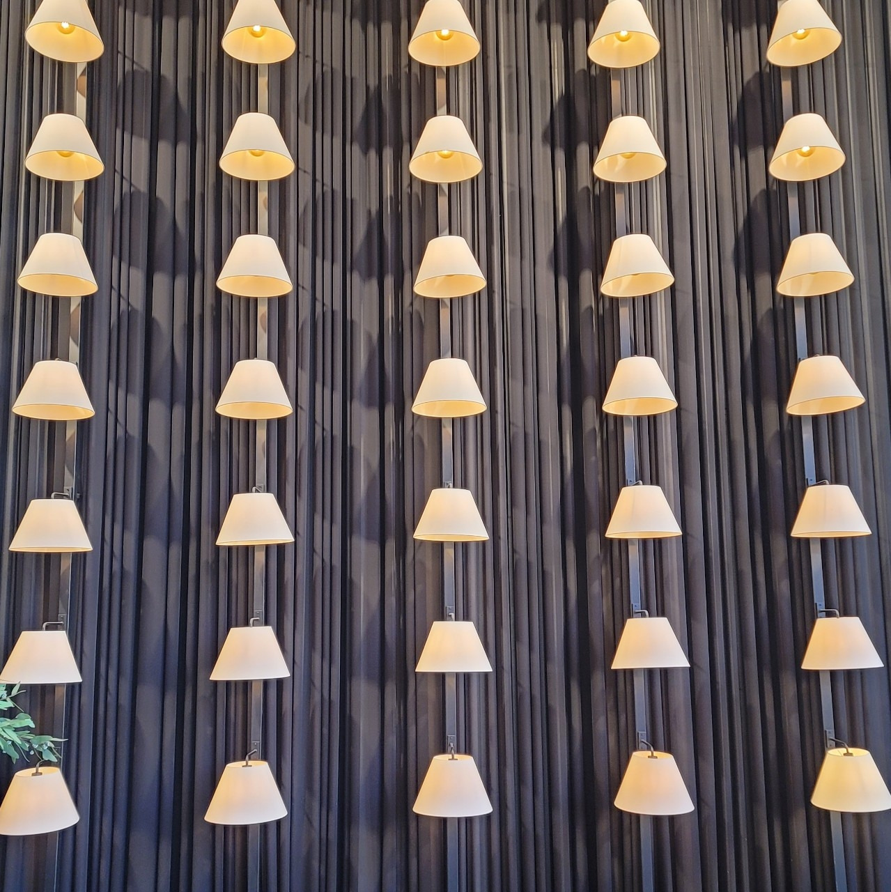 25. 무질서를 희망하다.jpg