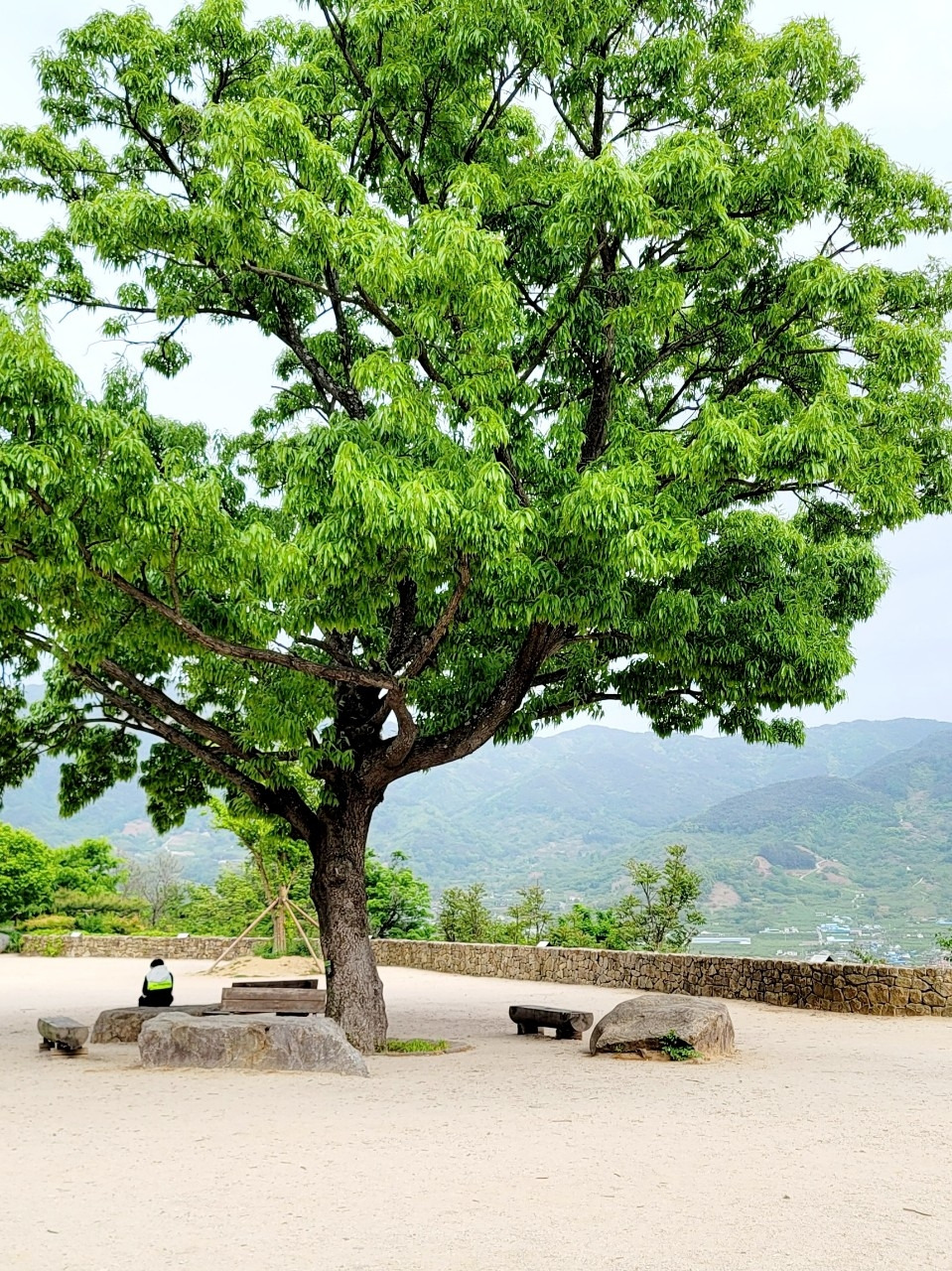 25. 시간의 역류.jpg