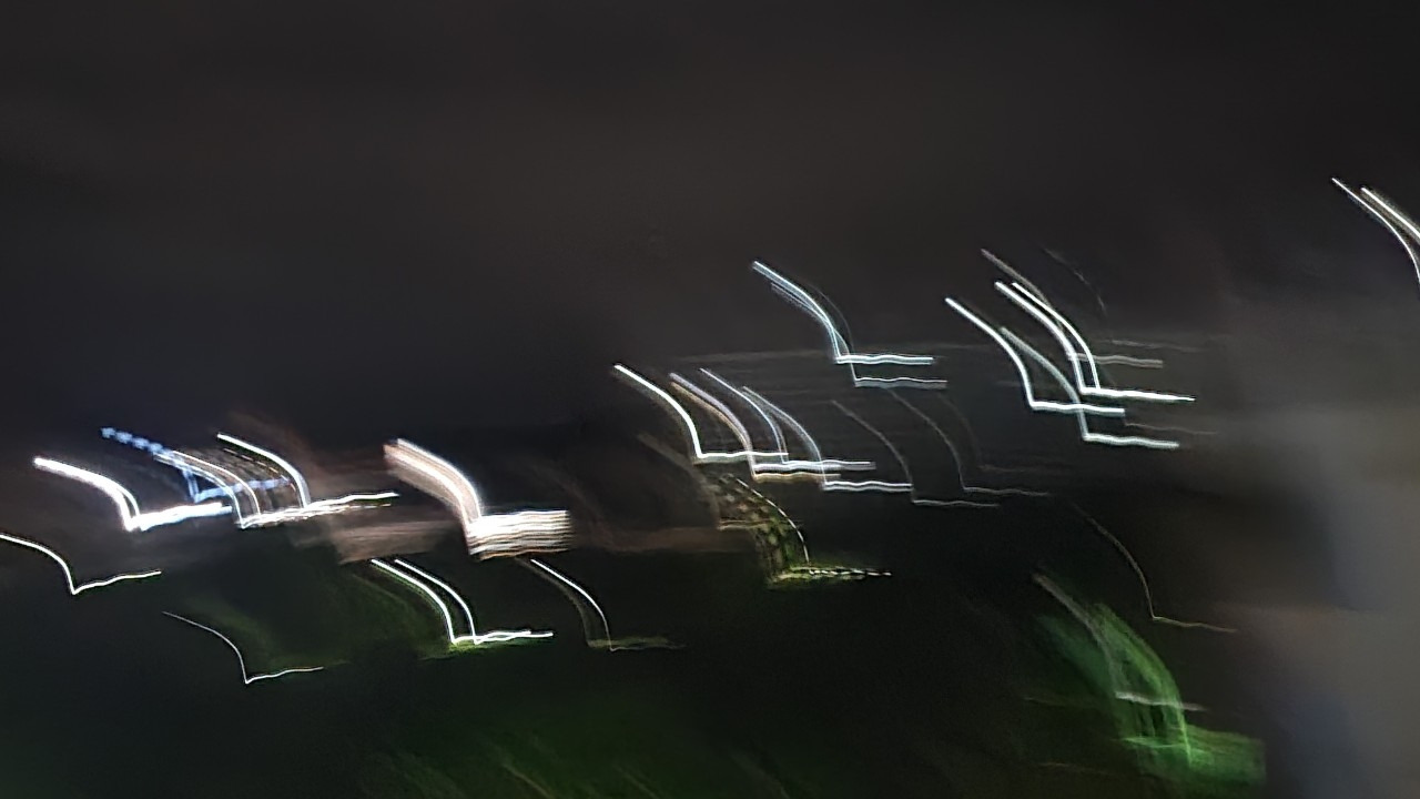 44. 갈매기의 경고.jpg