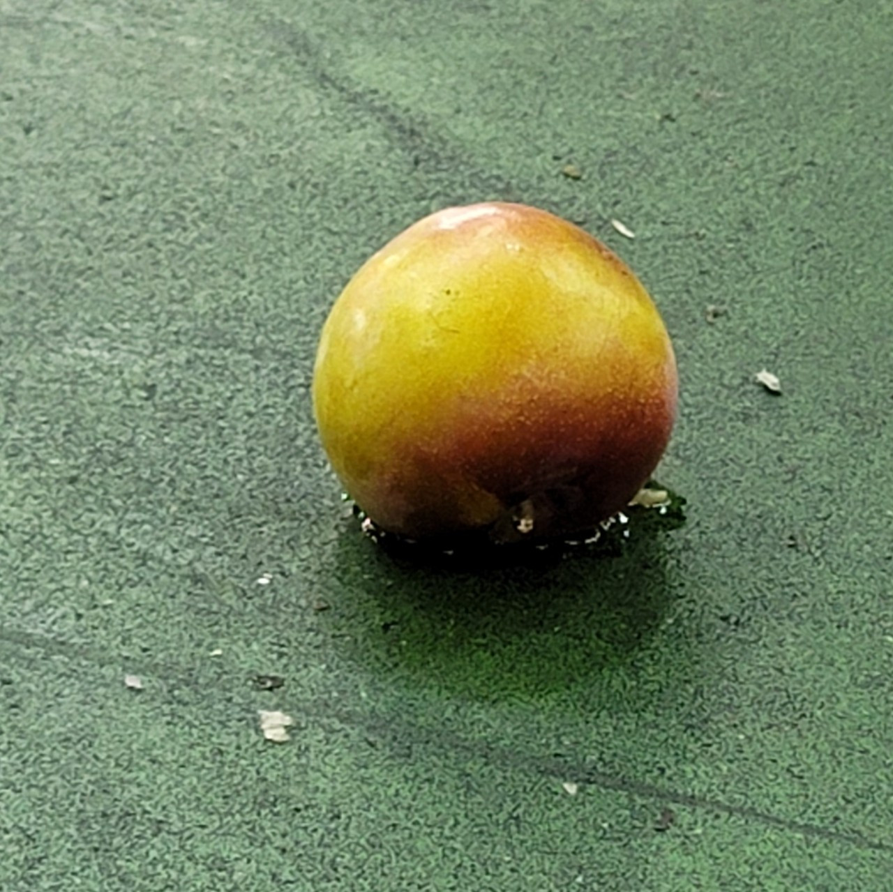 48. 잉여인간.jpg