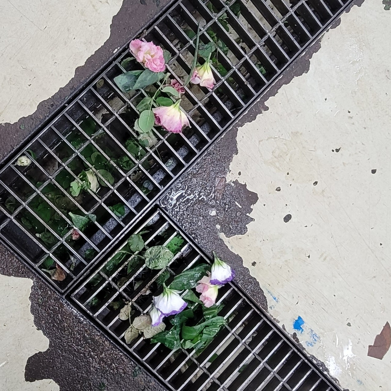 57. 버림받았다는 사실 만으로.jpg