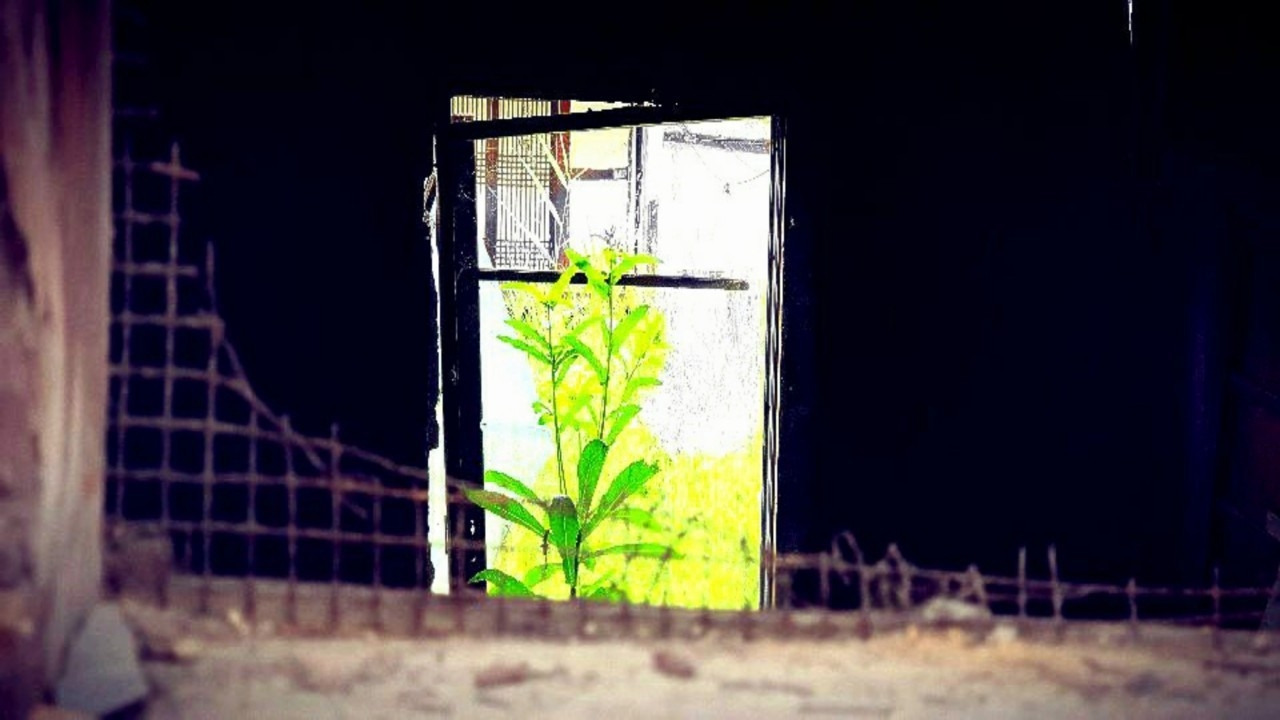 나를 사랑한 죄.jpg