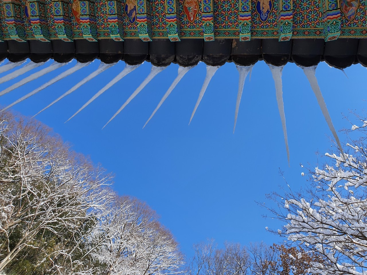 0_335Ud018svc2s772vtmspkh_akqz31.jpg-석별 18.jpg