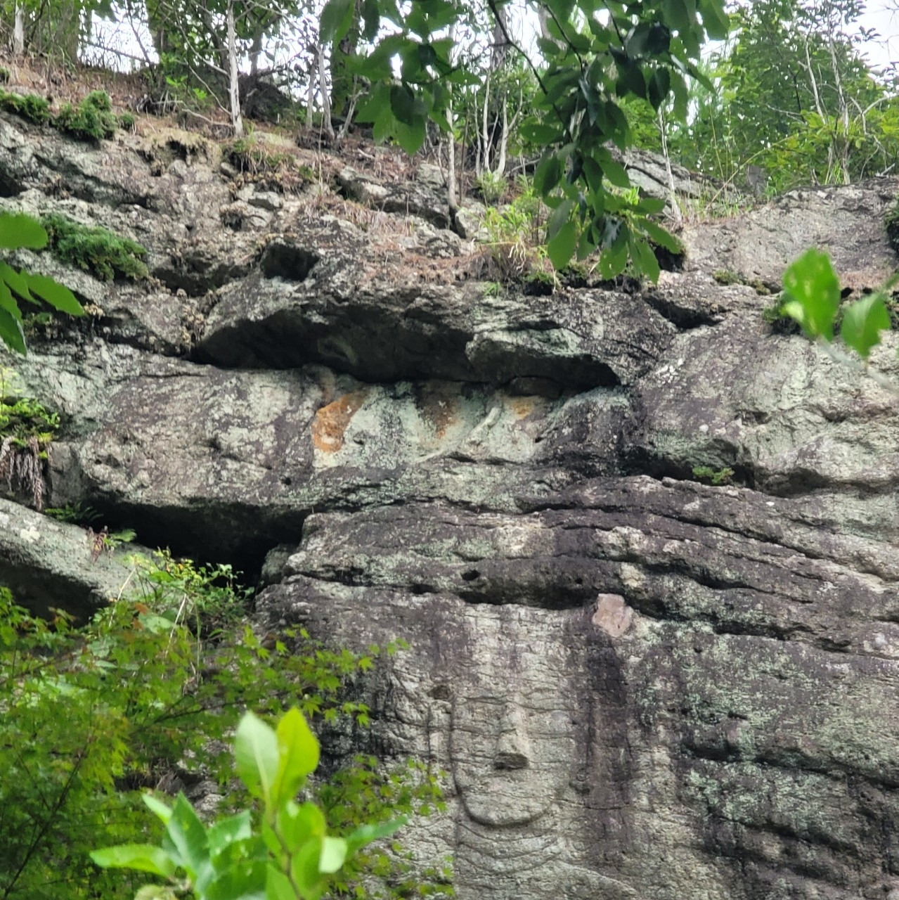 h_h6hUd018svc12gvnle50nsb6_akqz31-내 마음속 초상.jpg