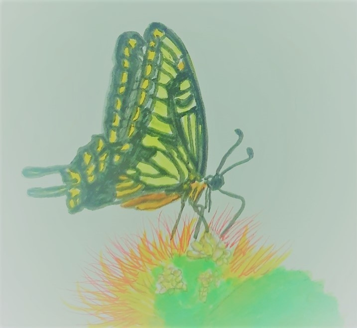 KakaoTalk_20220117_132124822_12 (3).jpg