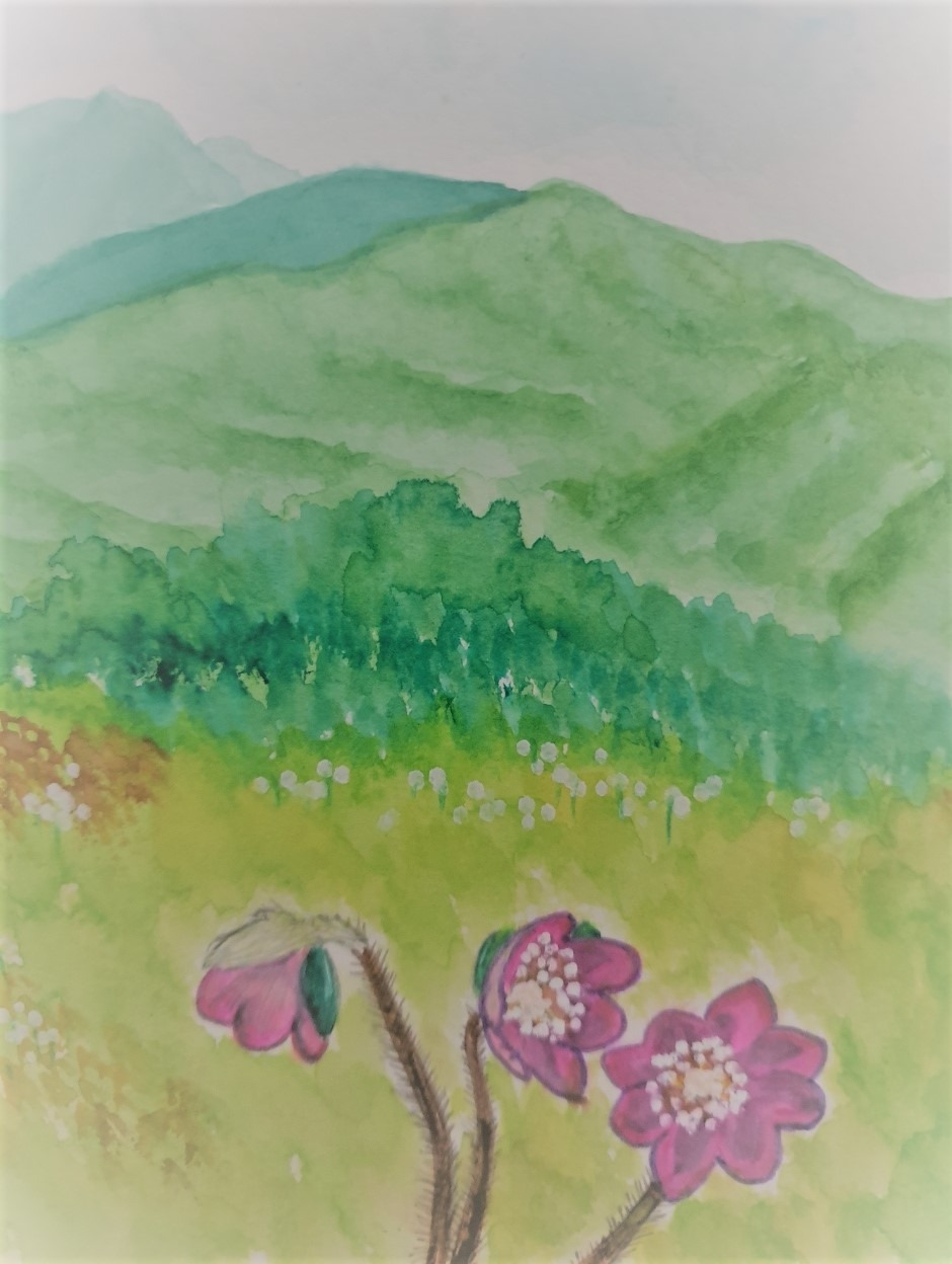 대덕산 풍광.jpg