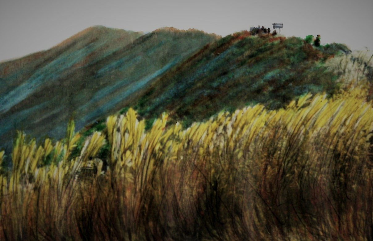 30. 억새의 일렁임에 귀 기울이며 정상으로 향한다.jpg