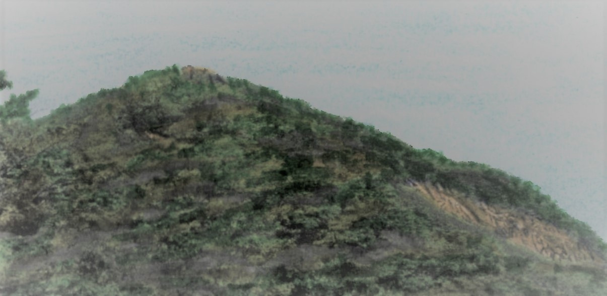 35. 헬기장을 지나면서 축령산 정상이 올려다 보인다.jpg