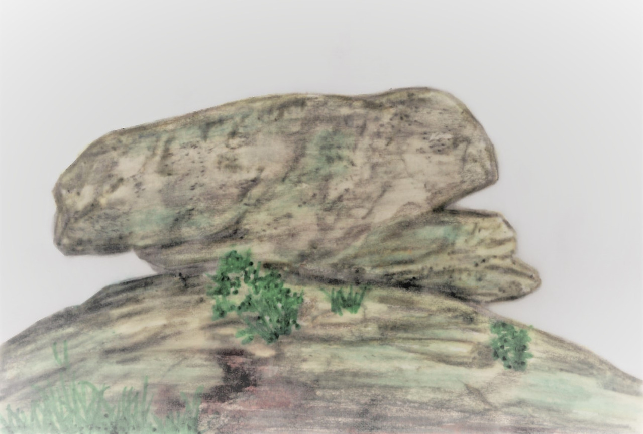 46. 연어봉에 오르자 연어 한 마리가 아가미를 벌리고 있다.jpg