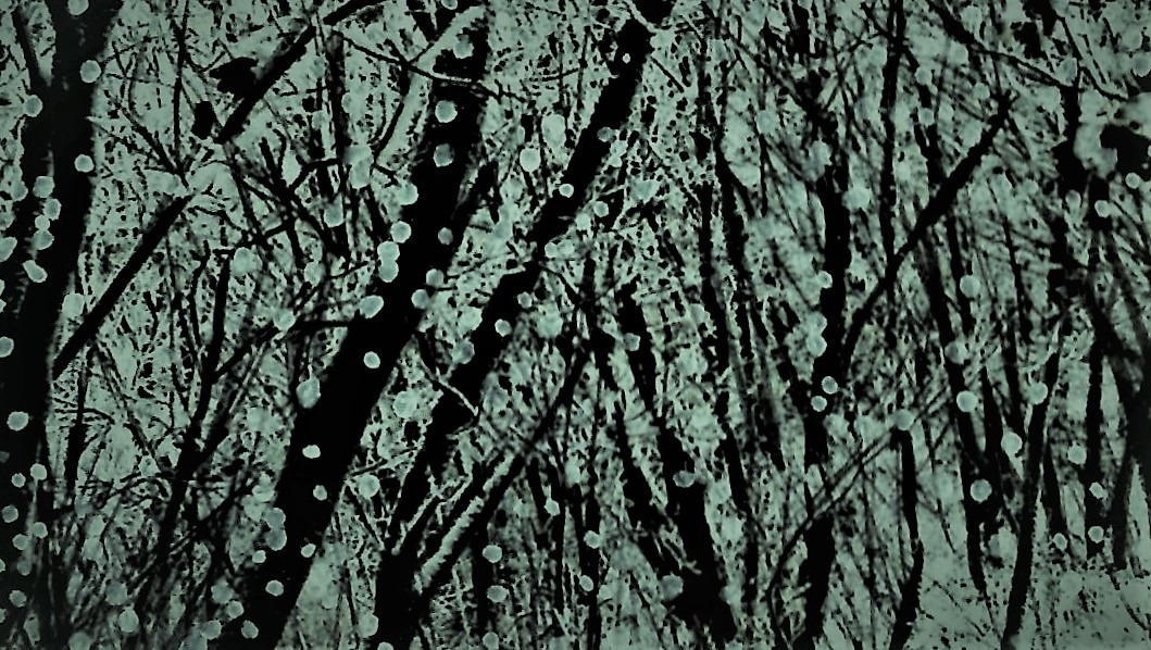 회목봉,상해봉,광덕산-눈꽃 수림.jpg