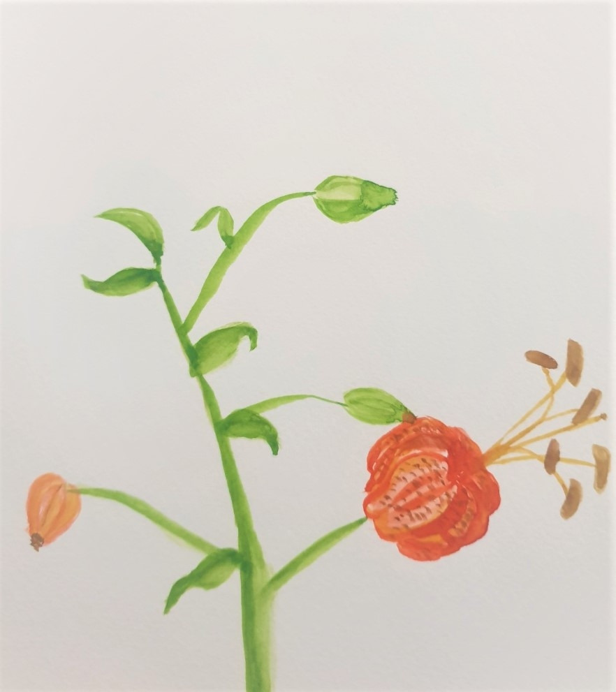 KakaoTalk_20220117_131829337_27 (2).jpg