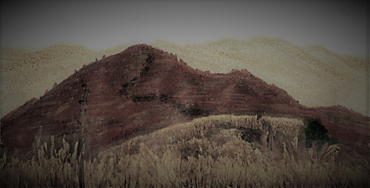 민둥산-지억산으로 향하면서 뒤돌아본 민둥산 정상.jpg