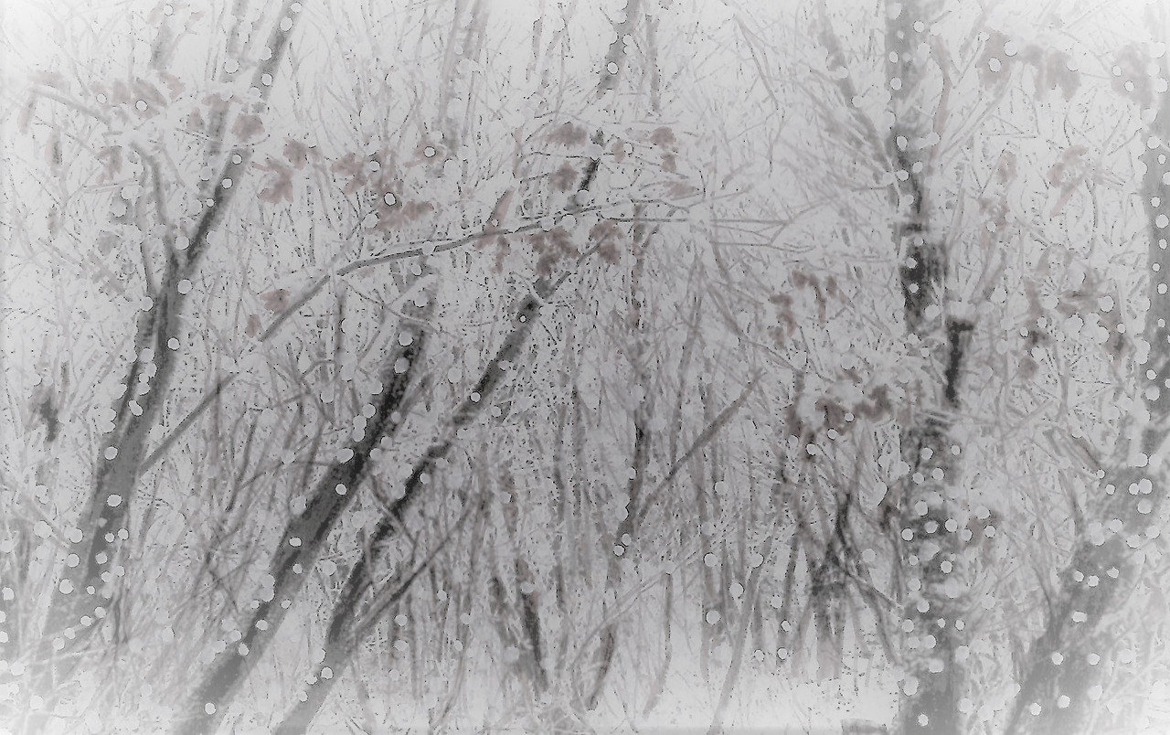 30. 백화산 능선의 눈꽃 위로도 계속 눈이 뿌려진다.jpg