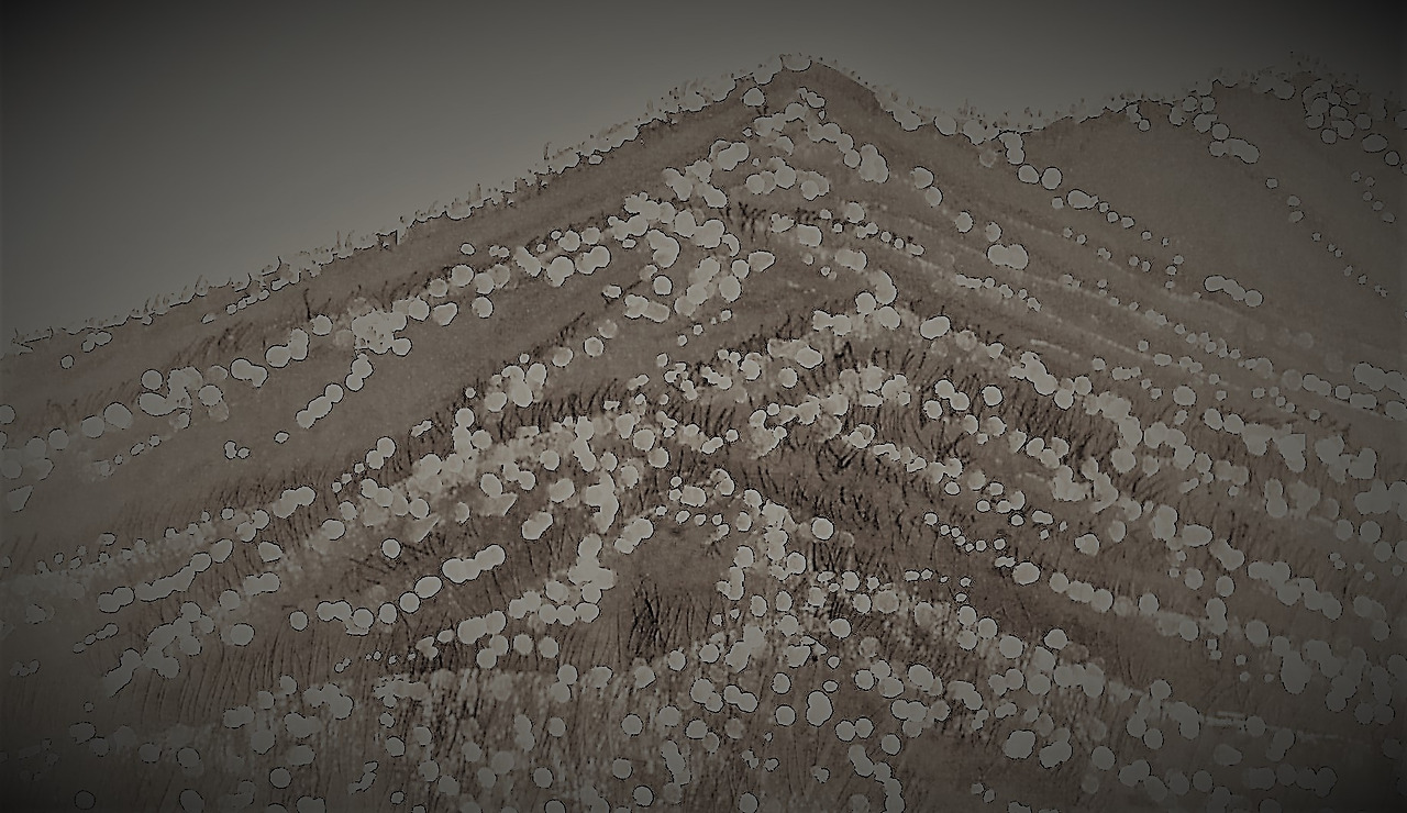 32. 곳곳이 온통 설원이다.jpg